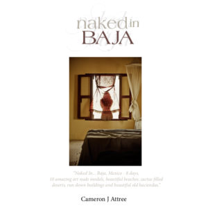 Naked in Baja eBook