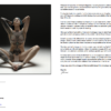 Eroticart eMagazine Issue 2 - Image 2