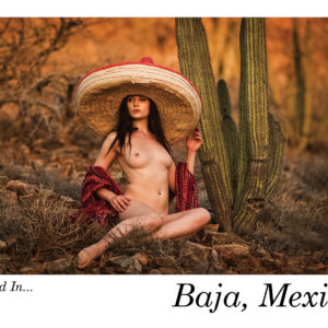 Naked in Baja Postcard Set
