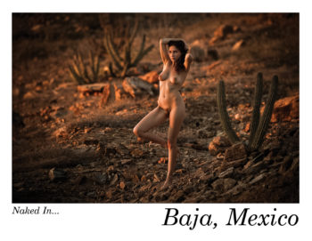 Naked in Baja Postcard Set - Image 3