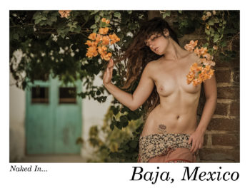 Naked in Baja Postcard Set - Image 7